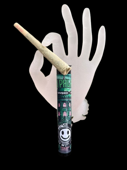 Jax palace- Hybrid (Indoor Pre-rolls)