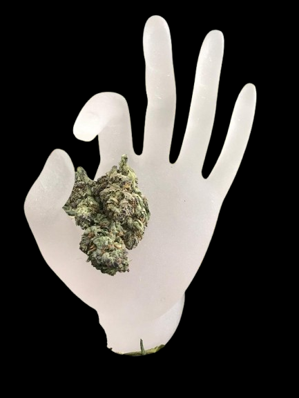 Amaretto Haze – Hybrid (Greenhouse Bud)