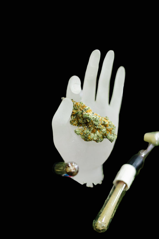 White plastic hand holding dried cannabis buds with a vape pen and colorful device on green grass.