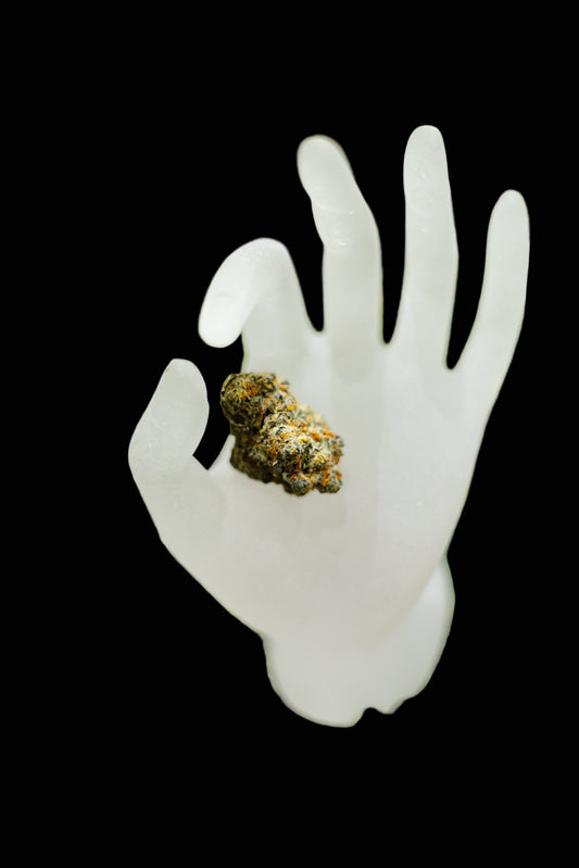 White plastic hand holding a clump of marijuana on a grassy background