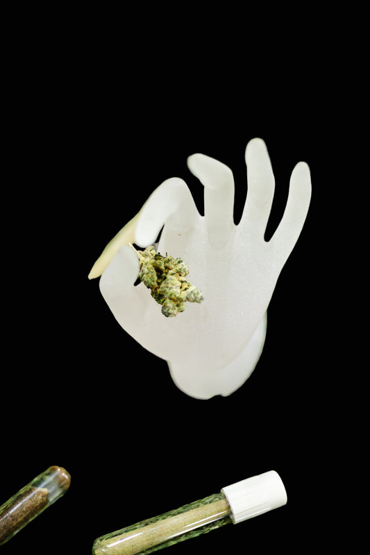 White hand-shaped container with cannabis buds on a grassy surface