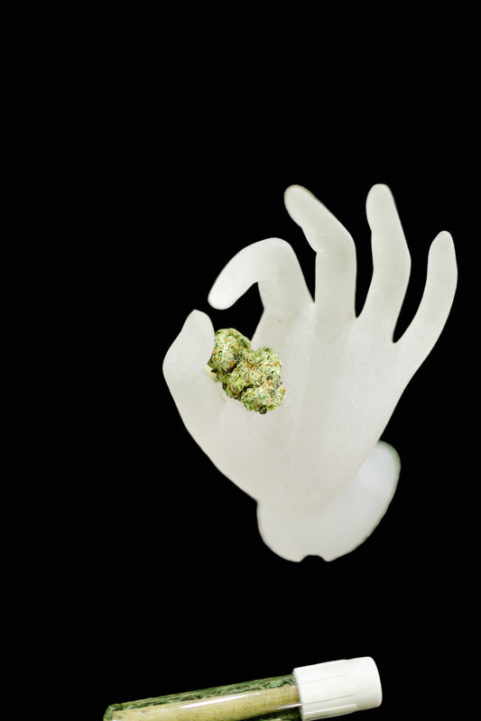 White silicone hand mold with cannabis buds on a green grass background