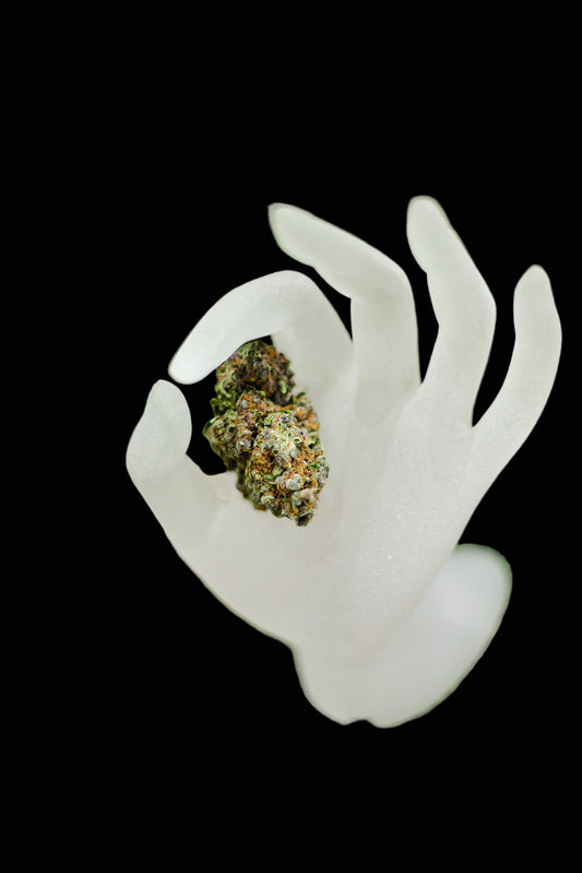 White plastic hand holding a green leafy substance on a grassy background