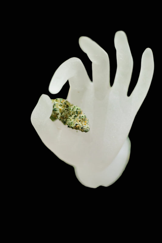 White plastic hand holding a clump of green cannabis on a grassy background