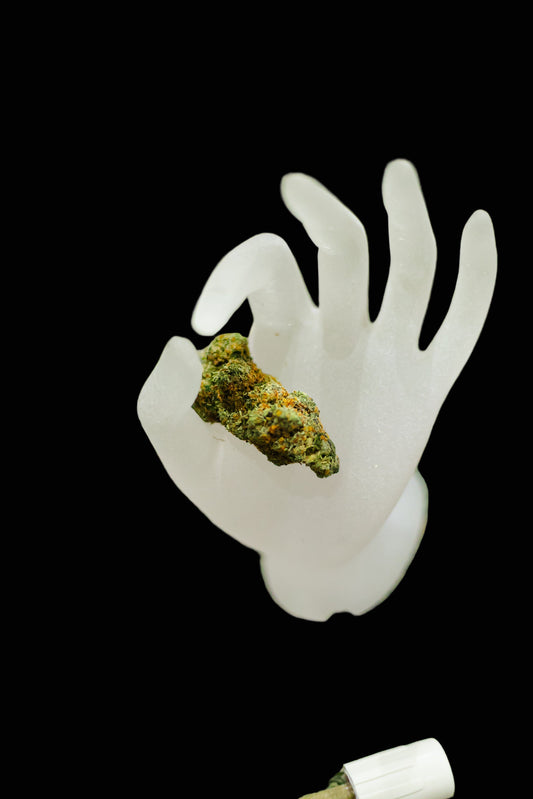 White hand-shaped object with a clump of green substance on a grassy background