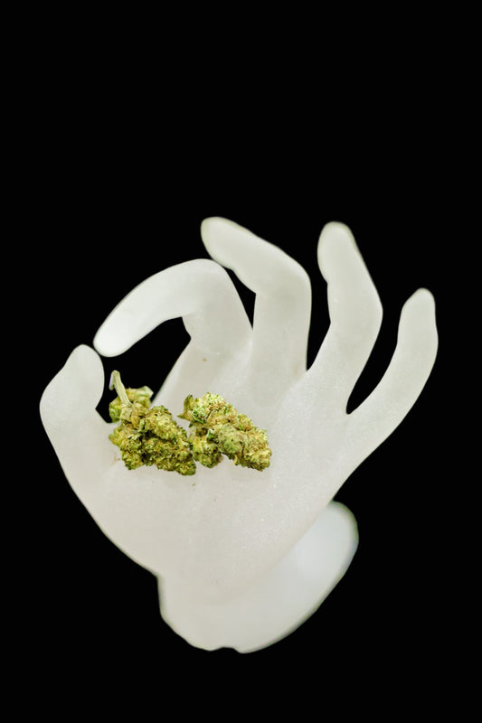 White plastic hand holding a small amount of green cannabis buds on a green background with more cannabis buds scattered around.