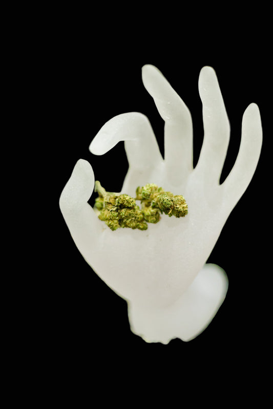 White ceramic hand holding green moss-like material on a grassy background