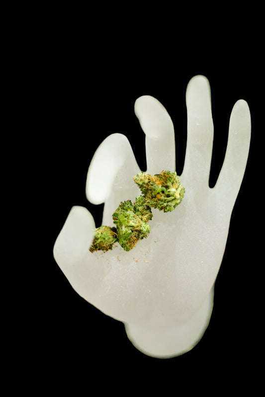 White ceramic hand holding dried cannabis buds against a green blurred background