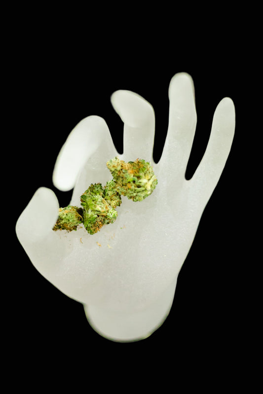 White glove holding green cannabis buds against a blurred green background