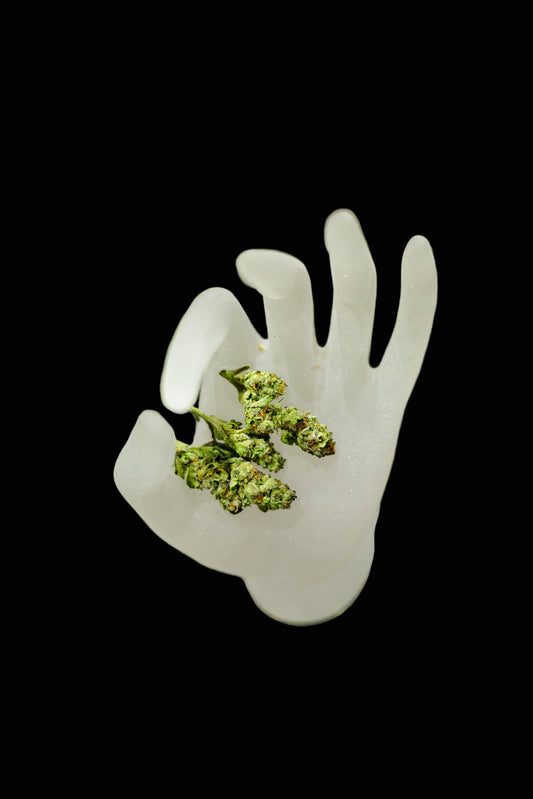 Grapefruit Delight – Sativa (Indoor Bud)
