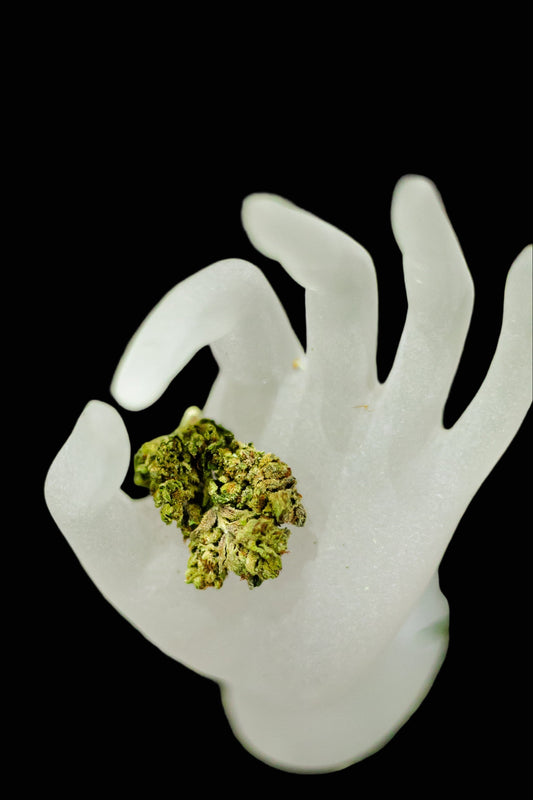 White plastic hand holding a green cannabis bud on a grassy background