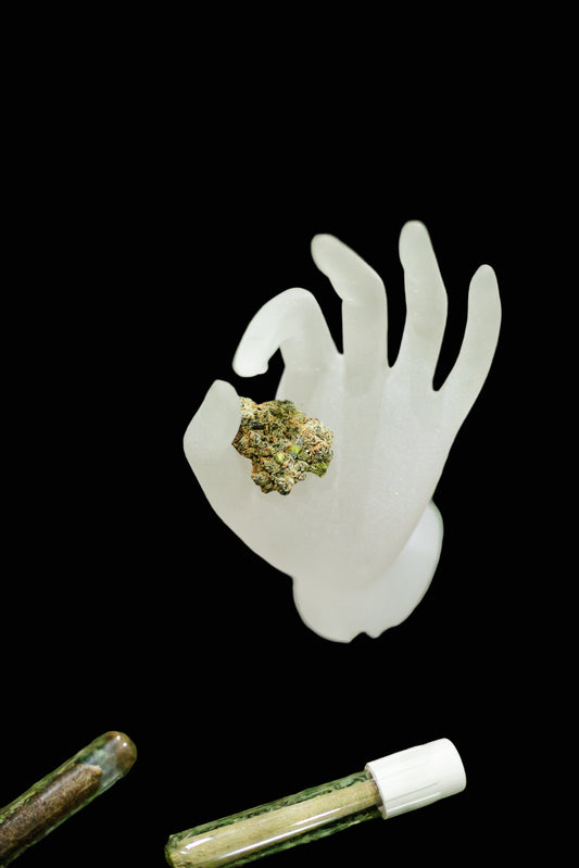 White hand-shaped container with cannabis buds on a green surface with other cannabis products.