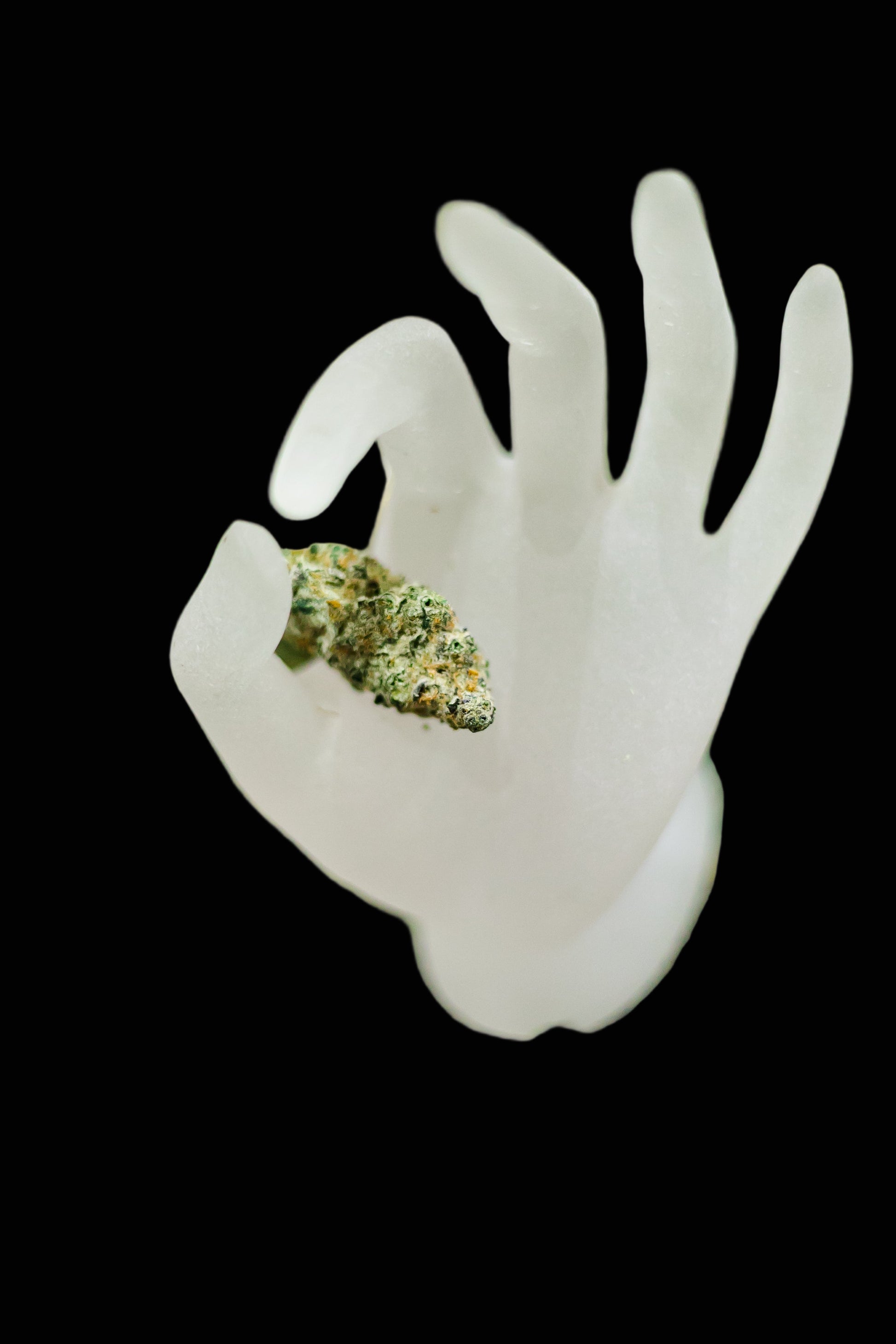 White plastic hand holding a clump of green cannabis on a grassy background