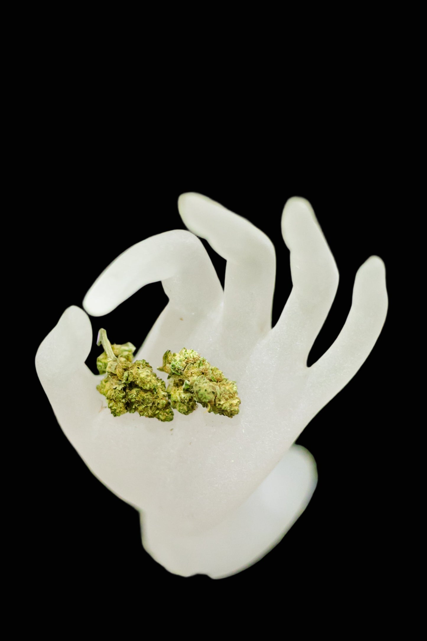 White plastic hand holding a small amount of green cannabis buds on a green background with more cannabis buds scattered around.