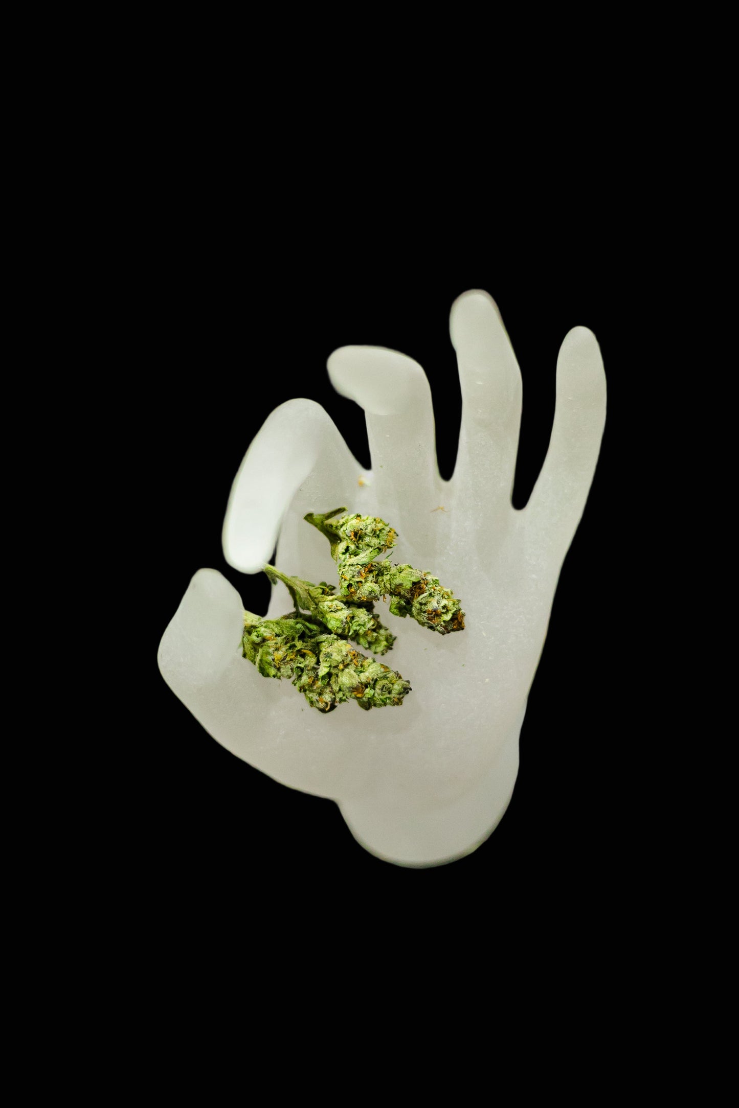 Grapefruit Delight – Sativa (Indoor Bud)