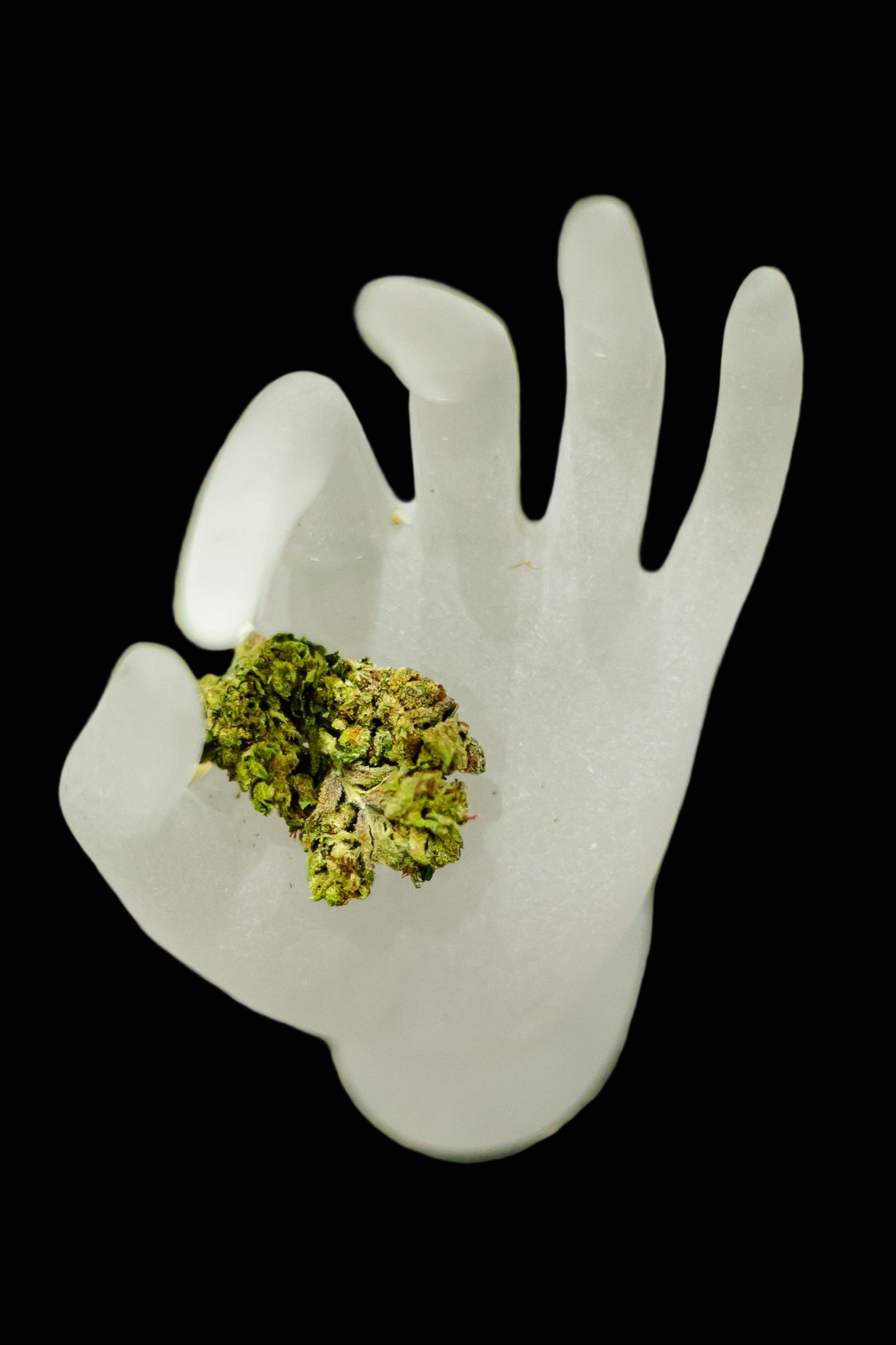 White plastic hand holding a green leafy substance on a grassy background