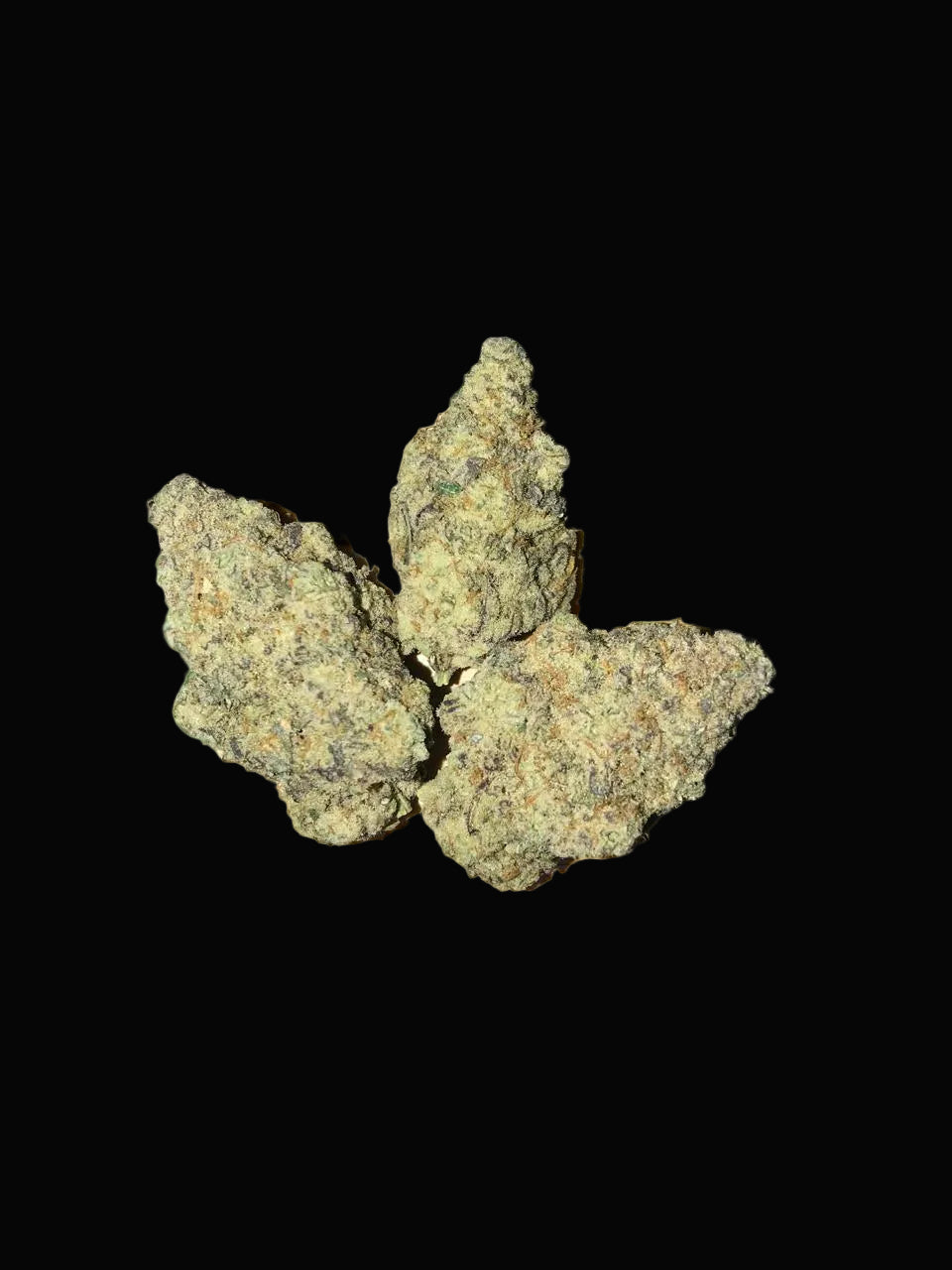 Miracle Alien Cookies